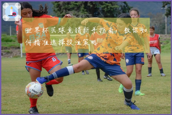世界杯买球竞猜新手指南，教你如何精准选择投注策略