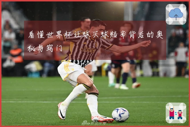 看懂世界杯让球买球赔率背后的奥秘与窍门