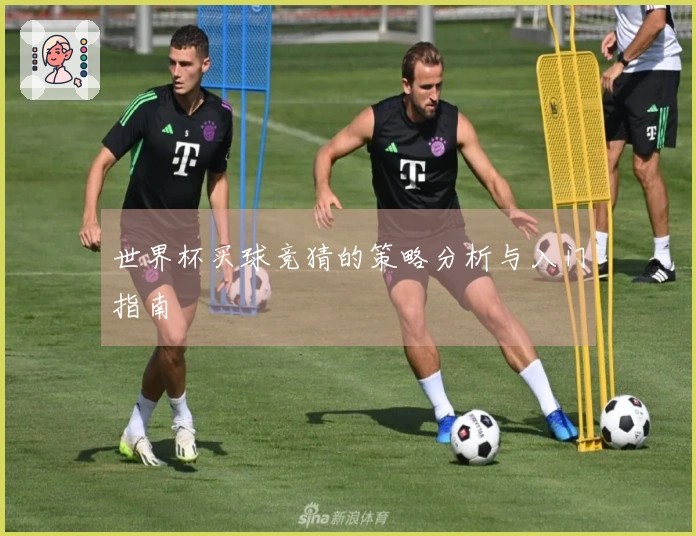 世界杯买球竞猜的策略分析与入门指南