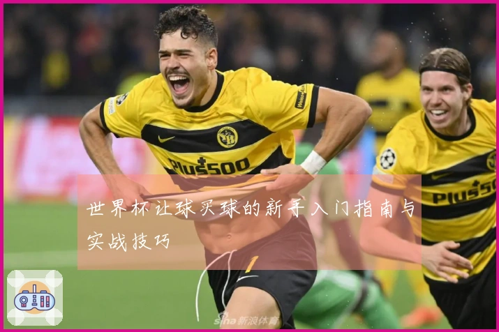 世界杯让球买球的新手入门指南与实战技巧
