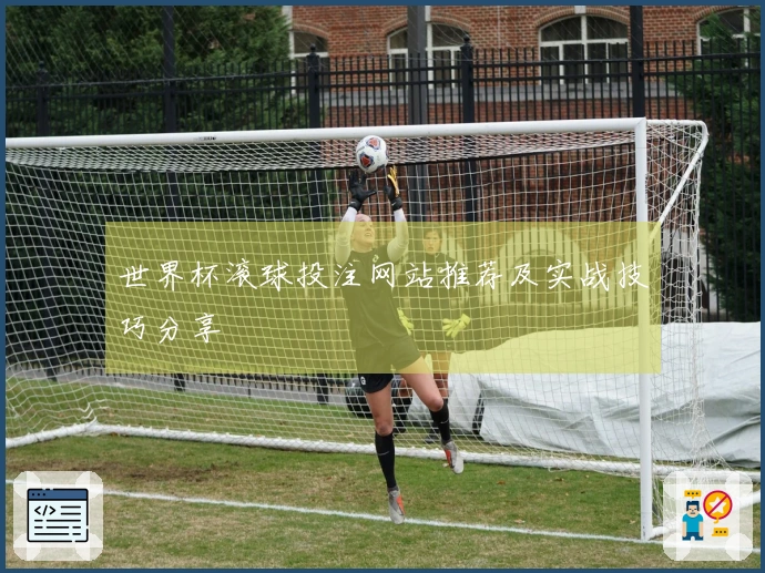 世界杯滚球投注网站推荐及实战技巧分享