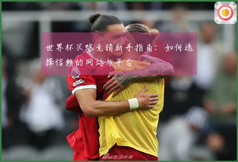 世界杯买球竞猜新手指南：如何选择信赖的网站与平台