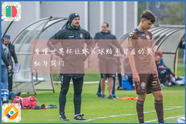 看懂世界杯让球买球赔率背后的奥秘与窍门