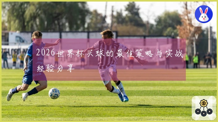2026世界杯买球的最佳策略与实战经验分享